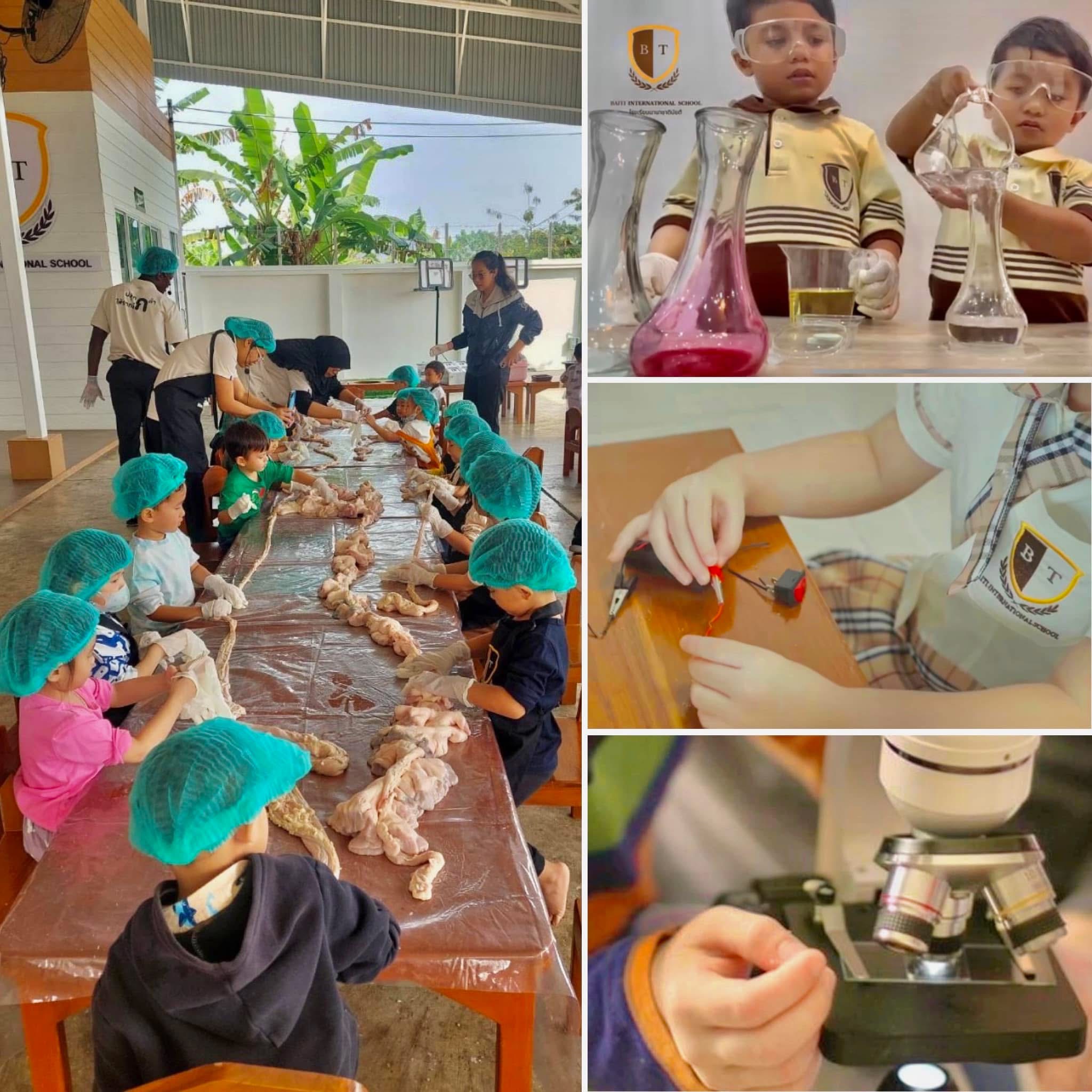 Curriculum enrichment activities