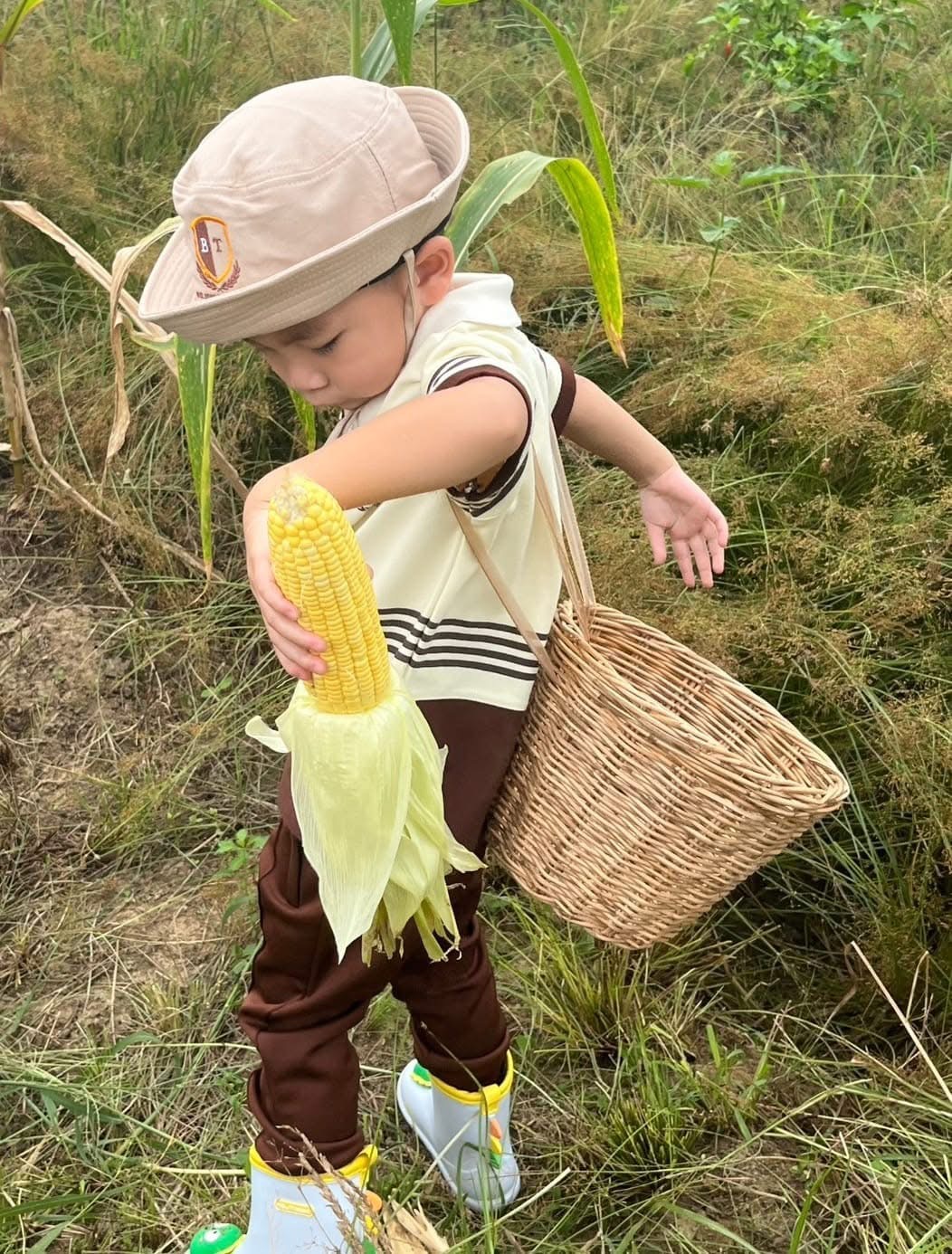 Gardening activities 3