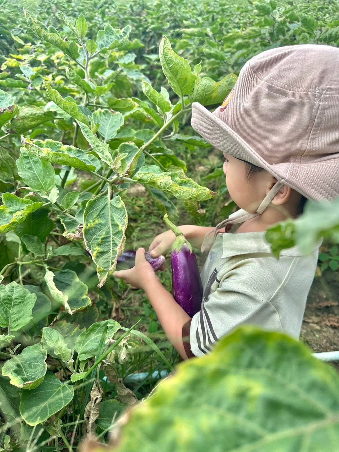 Gardening activities 4